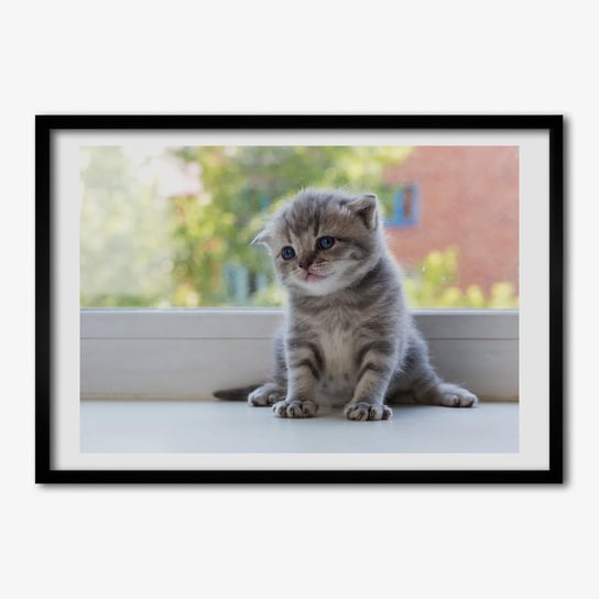 Tulup, Foto obraz z ramką MDF Mały kot przy oknie, 70x50 cm Tulup