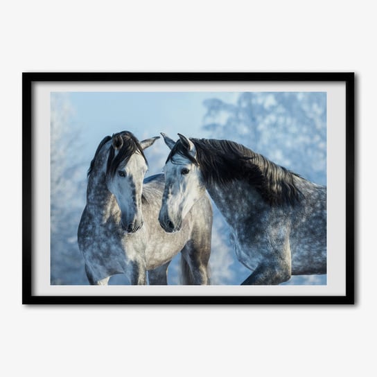 Tulup, Foto obraz z ramką MDF Szare konie zimą, 70x50 cm Tulup