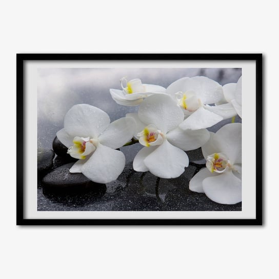 Tulup, Nowoczesny foto obraz z ramką MDF Orchidea, 70x50 cm Tulup