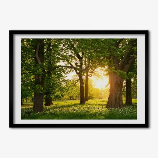 Tulup, Ścienny foto obraz z ramą Drzewa w parku, 70x50 cm Tulup