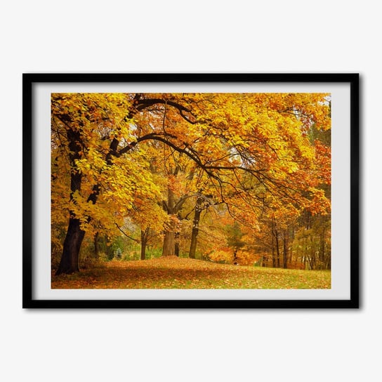 Tulup, Ścienny foto obraz z ramą Jesień w parku, 70x50 cm Tulup