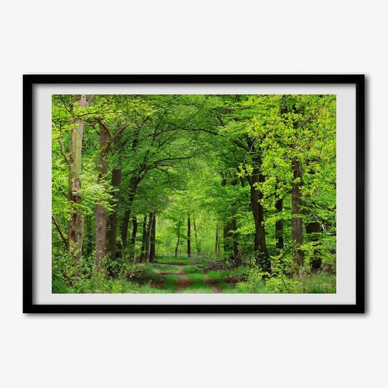 Tulup, Ścienny foto obraz z ramką MDF Wiosenny las, 70x50 cm Tulup