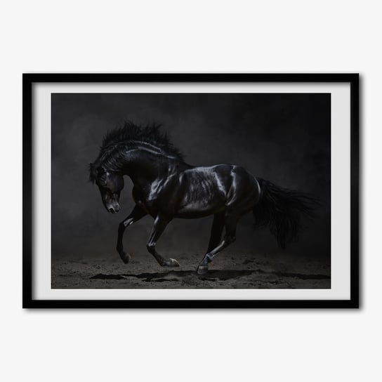 Tulup, Wiszący foto obraz z ramką MDF Czarny koń, 70x50 cm Tulup