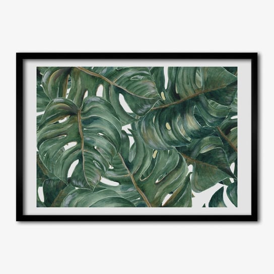 Tulup, Wiszący foto obraz z ramką MDF Monstera, 70x50 cm Tulup