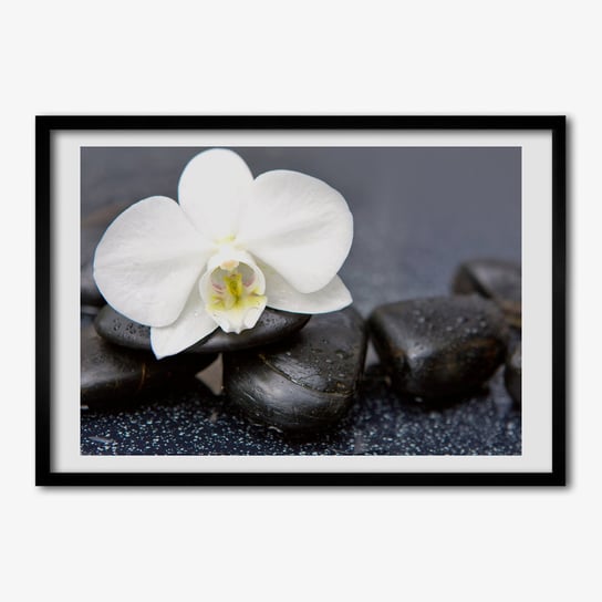 Tulup, Wiszący foto obraz z ramką MDF Orchidea, 70x50 cm Tulup