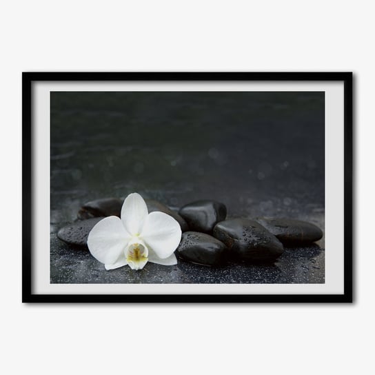 Tulup, Wiszący foto obraz z ramką MDF Orchidea, 70x50 cm Tulup