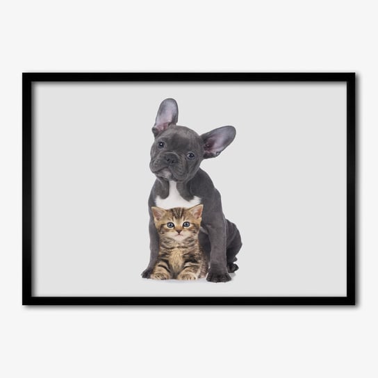 Tulup, Wiszący foto obraz z ramką MDF Pies i kot, 70x50 cm Tulup