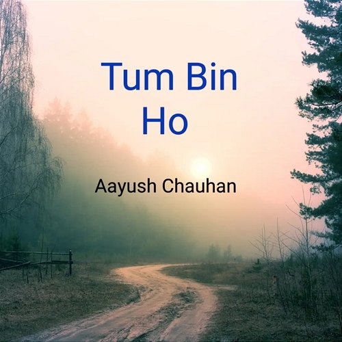 Tum Bin Ho Aayush Chauhan & Vishal Kumar