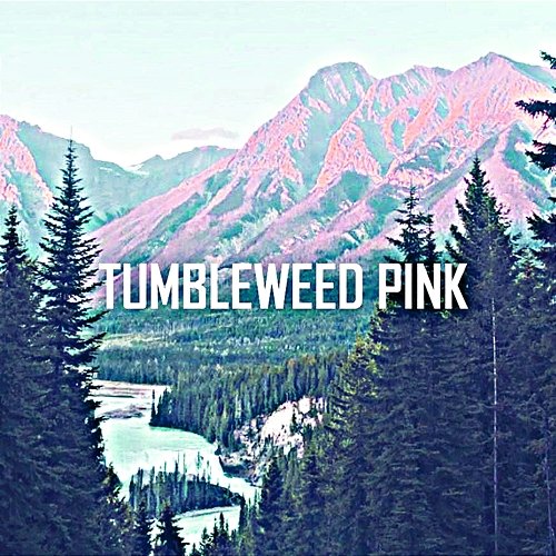 Tumbleweed Pink Tyree Shakka
