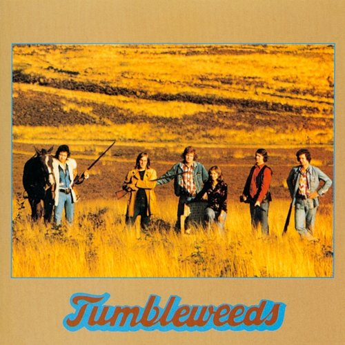 Mojave Tumbleweeds