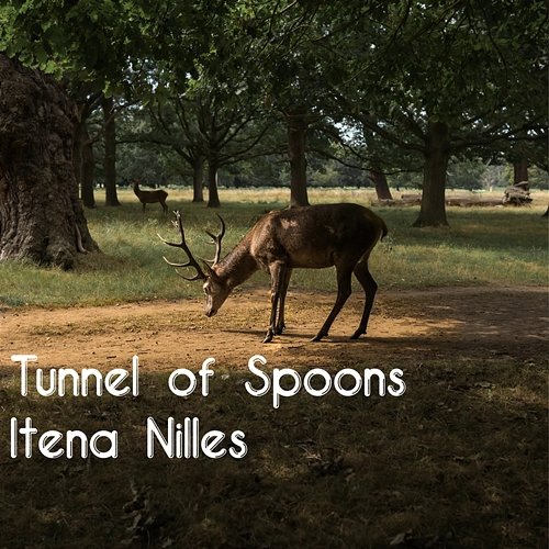 Tunnel of Spoons Itena Nilles