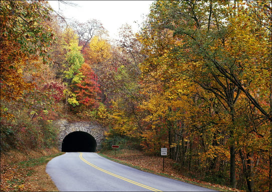 Tunnel on North Carolina’s Blue Ridge Parkway, Carol Highsmith - plakat 29,7x21 cm Galeria Plakatu