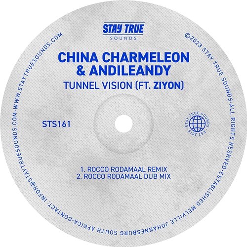 Tunnel Vision China Charmeleon and AndileAndy feat. Ziyon