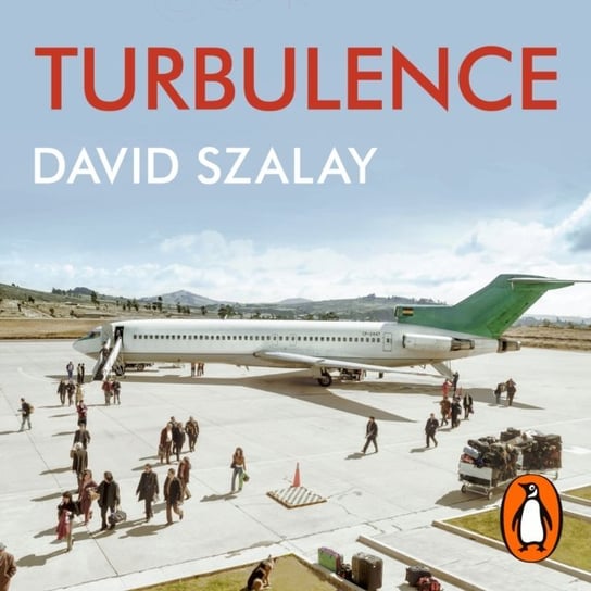 Turbulence Szalay David