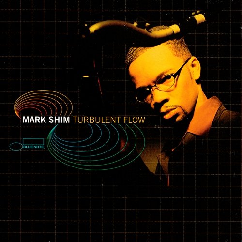 Turbulent Flow Mark Shim