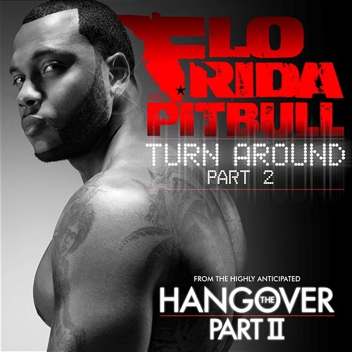 Turn Around (Pt. 2) Flo Rida and Pitbull