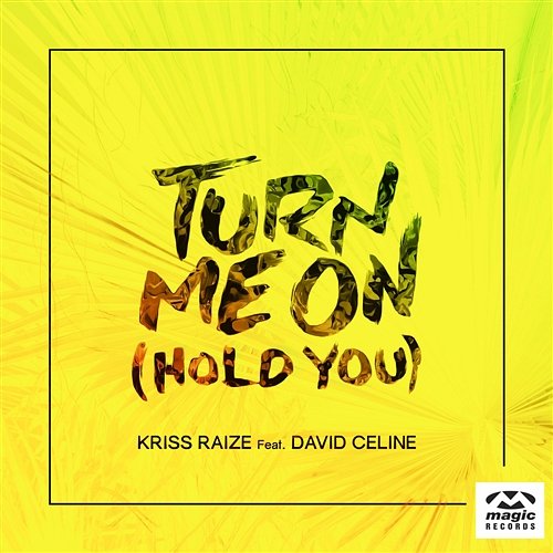Turn Me On (Hold You) Kriss Raize feat. David Celine