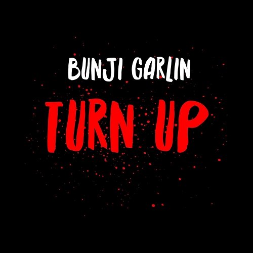 Turn Up Bunji Garlin
