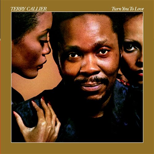Turn You to Love Terry Callier