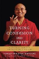Turning Confusion Into Clarity Yongey Mingyur
