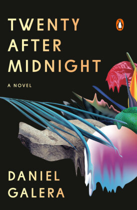 Twenty After Midnight Penguin Random House