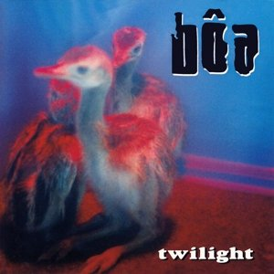 Twilight Boa
