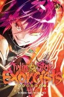 Twin Star Exorcists, Vol. 10 Sukeno Yoshiaki