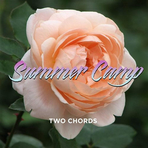 Two Chords Summer Camp