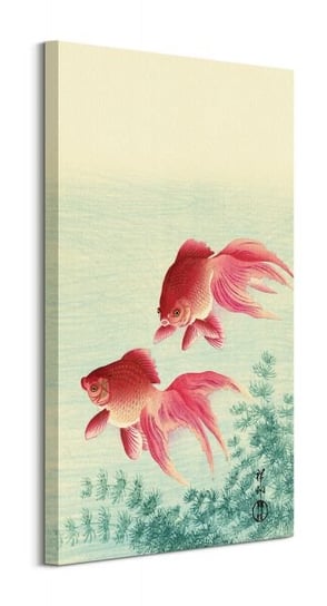 Two Veil Goldfish - obraz na płótnie Art Group