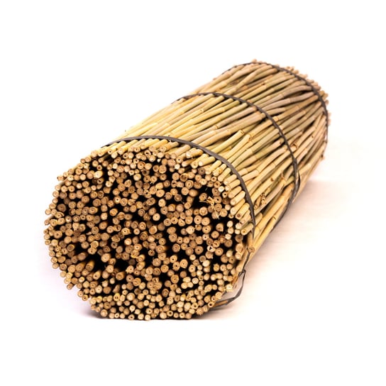 Tyczki bambusowe - 105cm - 10/12mm - 100 sztuk BMBS S.C.