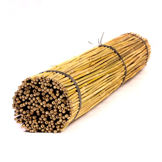 Tyczki bambusowe - 120cm - 10/12mm - 25 sztuk BMBS S.C.