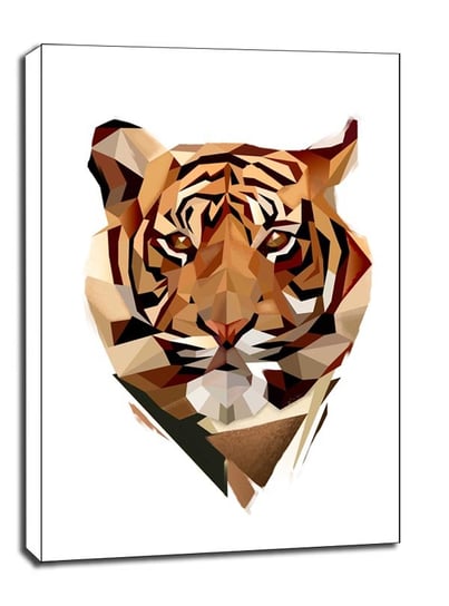 Tygrys Białe Tło - Obraz Na Płótnie 20X30 Cm Galeria Plakatu