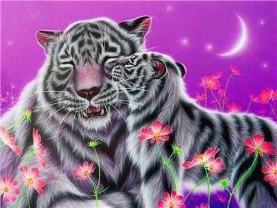 Tygrysia czułość - Malowanie po numerach 50x40 cm ArtOnly