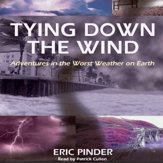 Tying Down the Wind Pinder Eric