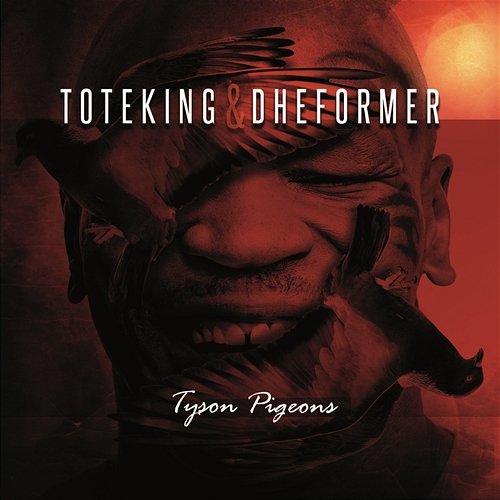 Tyson Pigeons Toteking & Dheformer