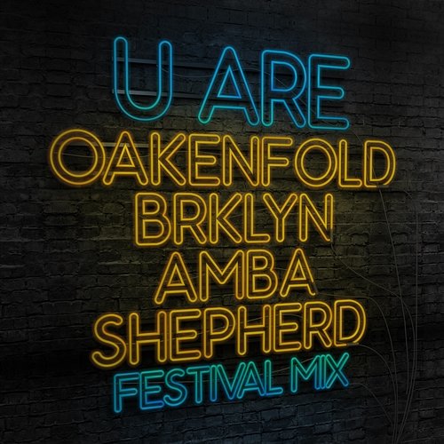 U Are Paul Oakenfold feat. BRKLYN, Amba Shepherd