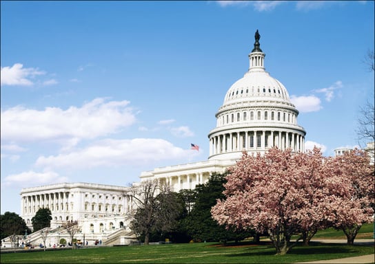 U.S. Capitol Building, Washington, Carol Highsmith - plakat 30x20 cm Galeria Plakatu