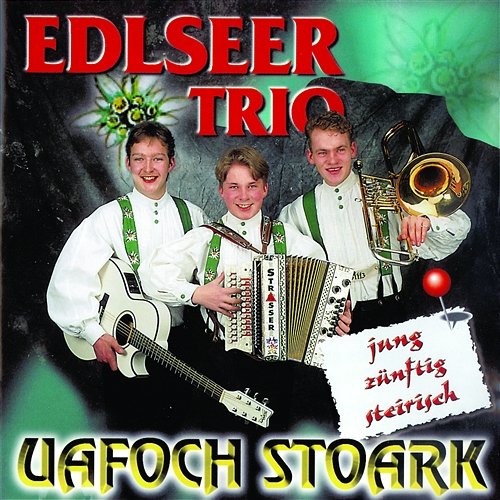 Treu der Heimat Edlseer Trio