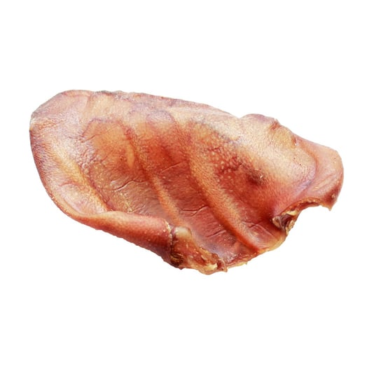 UCHO WIEPRZOWE ŚREDNIE - 50szt. GRYZAK DLA PSA inna (Inny)