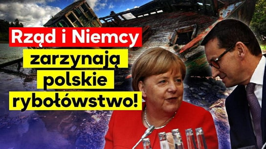 UE i rząd zarzynają polskie rybołówstwo! - Idź Pod Prąd Na Żywo - podcast - audiobook Opracowanie zbiorowe