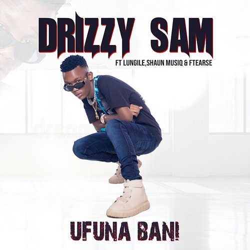 Ufuna Bani Shaunmusiq, Drizzy Sam (RSA) feat. F Teearse, Lungile