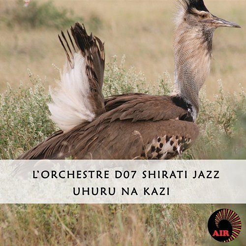 Uhuru Na Kazi L'Orchestre D.O.7 Shirati Jazz