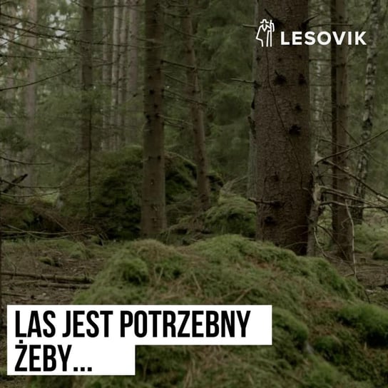 Ukradli mi podcast i mówią o lesie [Lesovik] [S03E03] - Podkast Rowerowy - podcast Peszko Piotr, Originals Earborne