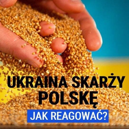 Ukraina skarży Polskę. Jak reagować? Paweł Musiałek - Układ Otwarty - podcast Janke Igor