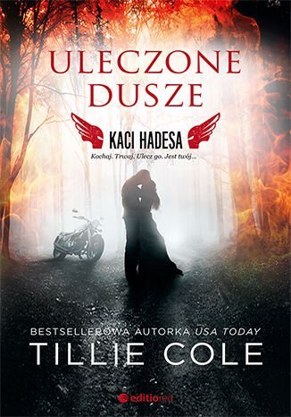 Uleczone dusze. Kaci Hadesa. Tom 3 - ebook epub Cole Tillie