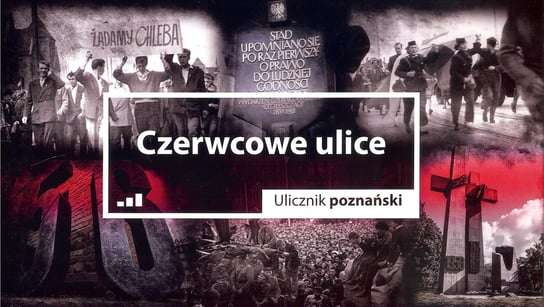 Ulicznik poznański. Czerwcowe ulice Cieliczko Paweł