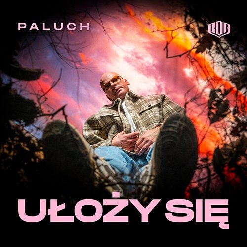 Ułoży się MIROFF, Paluch
