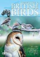 Ultimate Guide to British Birds (brak polskiej wersji językowej) 