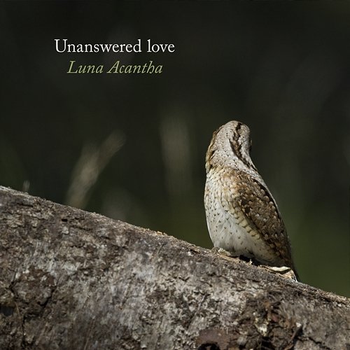 Unanswered love Luna Acantha