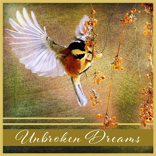 Unbroken Dreams: Calm Music, Evening Relaxation Songs, Constant Silence, Sleeping Flow, Guardians of Harmony, Echo of the Night Deep Sleep Music Academy